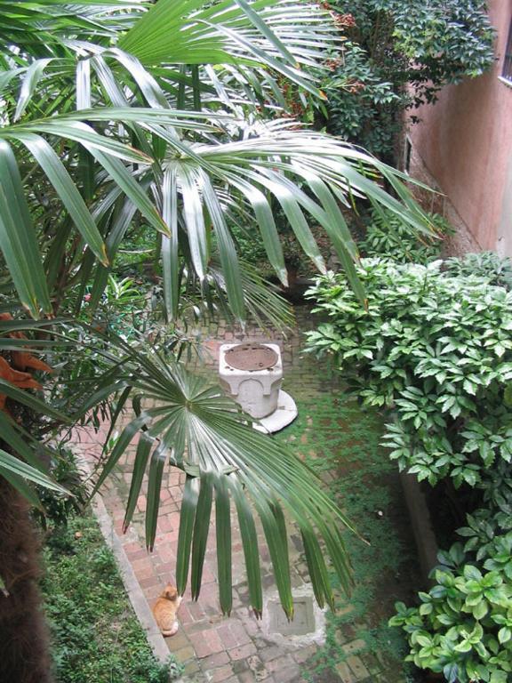Hotel Ca' Turelli Dimora Storica Wenecja Zewnętrze zdjęcie